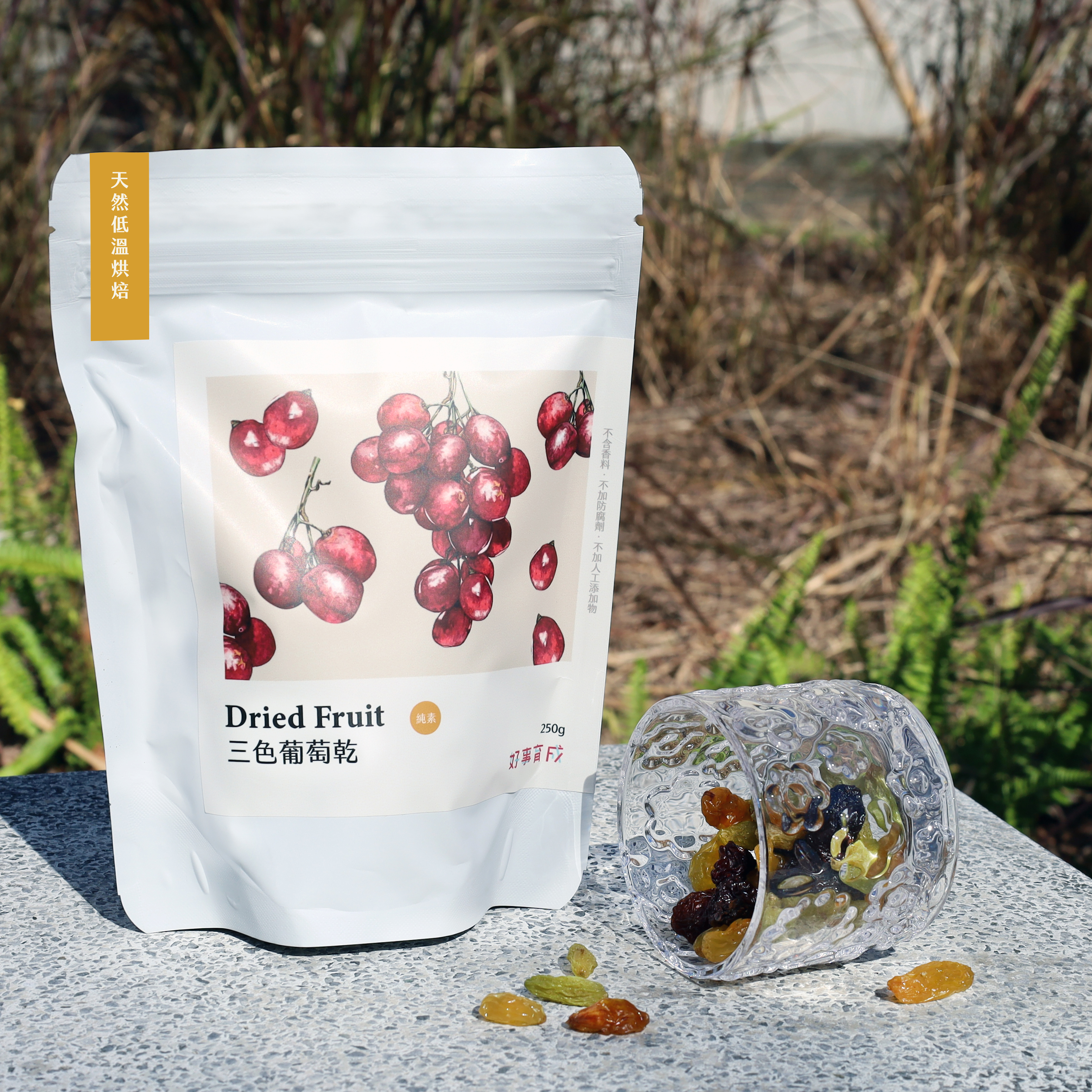 三色葡萄乾-封面圖